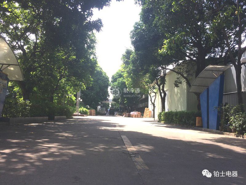 公司馬路2ce